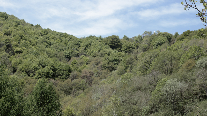 img_8151_01s.jpg img_8151_01s.jpg